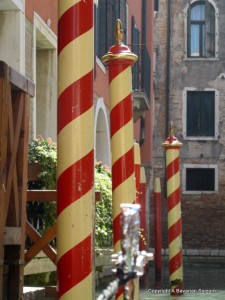 IMG_2346