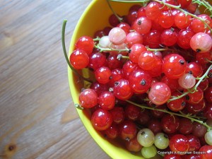 IMG_3973