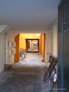 IMG_7201