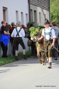 IMG_0488