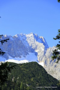 IMG_0555