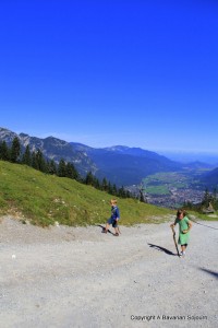 IMG_0604