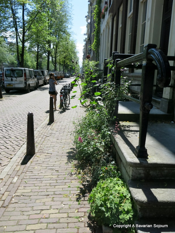 leafy street amsterdam