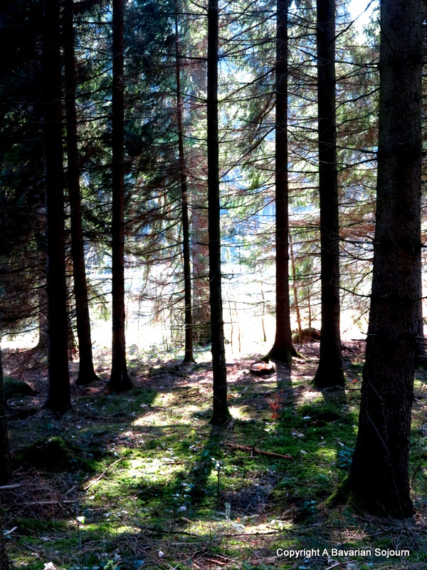 forest church bavaria