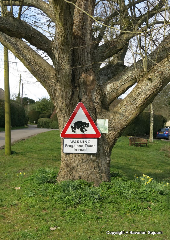 warning frogs and toads sign