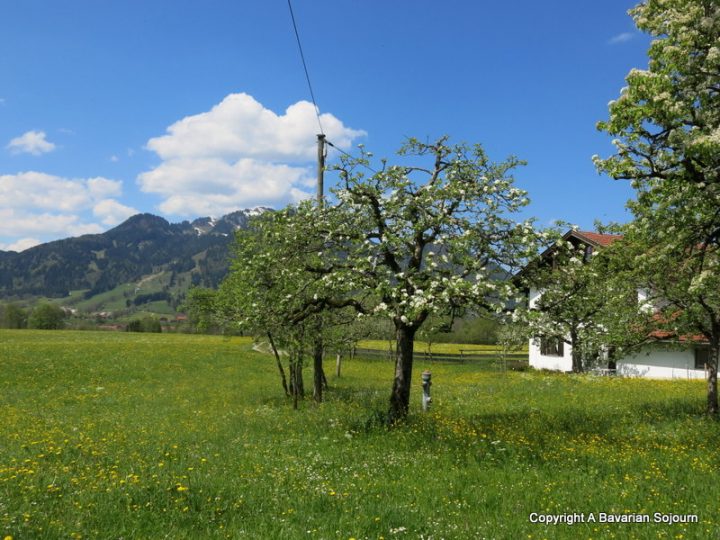 alpine walks lenggries