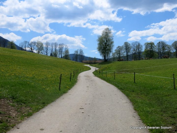 long and winding road