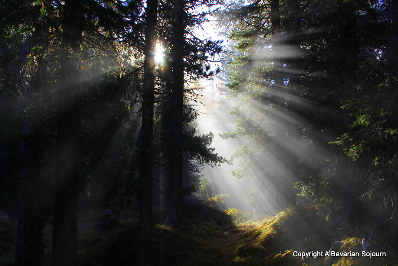foggy morning carinthia 