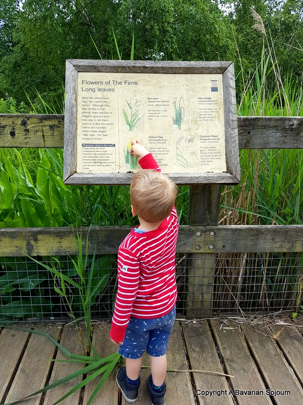 learning about fenlands cambridge botanical gardens 