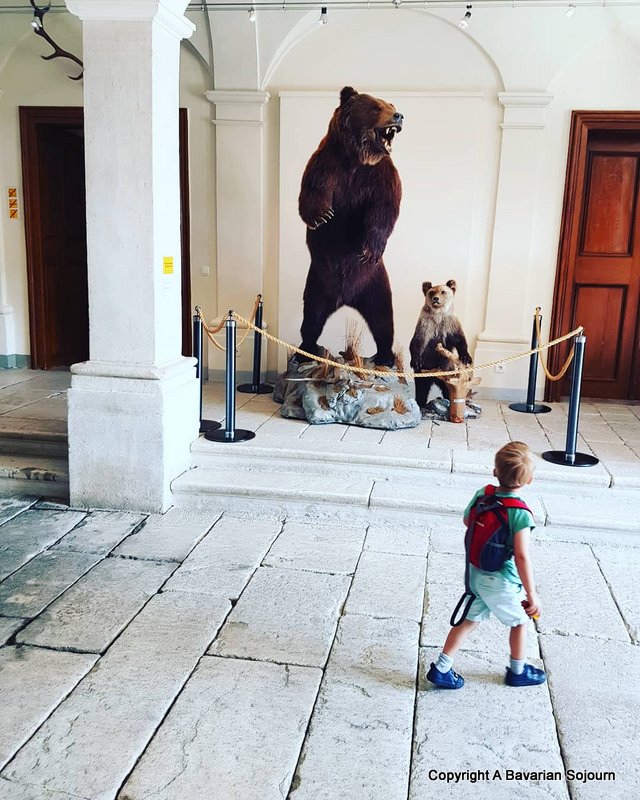 The Three Bears at Castle Wolfsthurn?