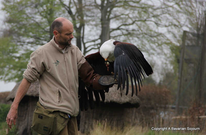 Eagle Hawk Conservancy