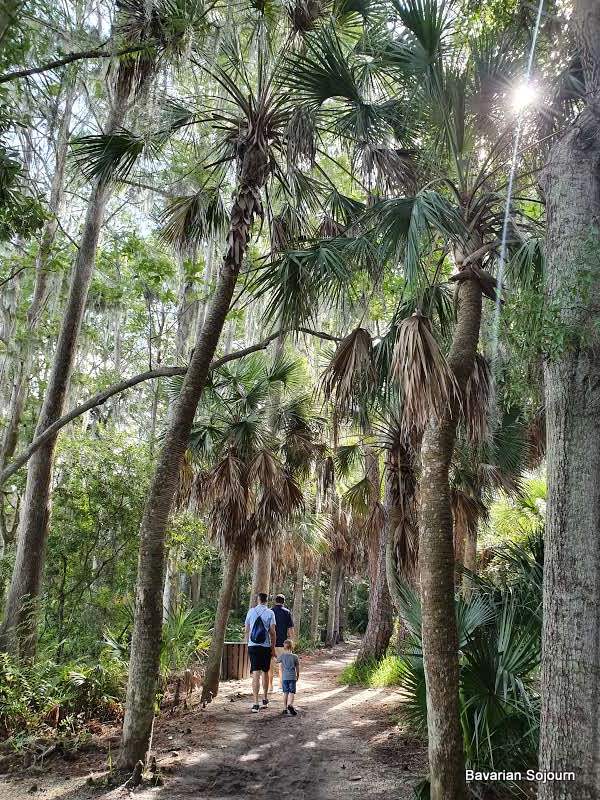state park walking florida