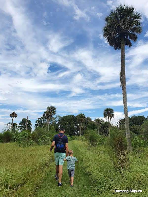father and son with palm tree and floridian blue skies 