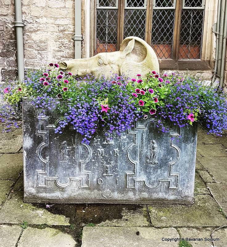 Horses Head Anglesey Abbey